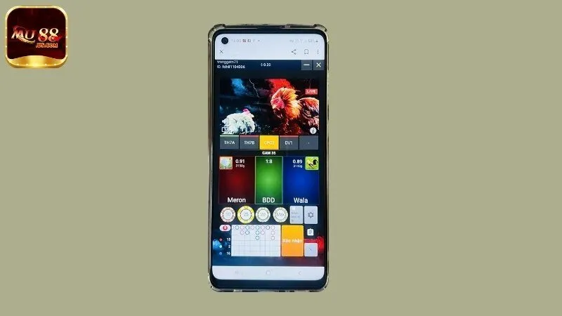 Chiến thuật cược đá gà chắc thắng tại MU88